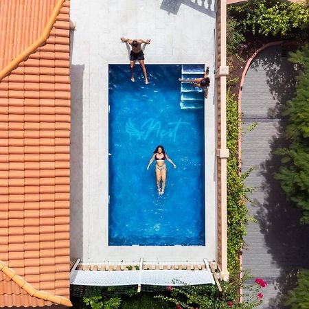 Duque Nest Hostel Costa Adeje  Εξωτερικό φωτογραφία